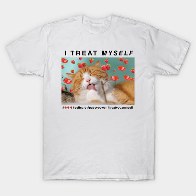 'I Treat Myself' Strawberry Aesthetic Cat T-Shirt by SarraMurra